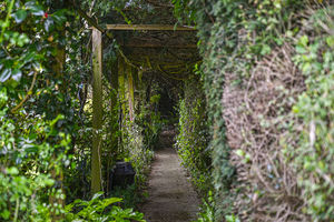 Photo 13- click for photo gallery